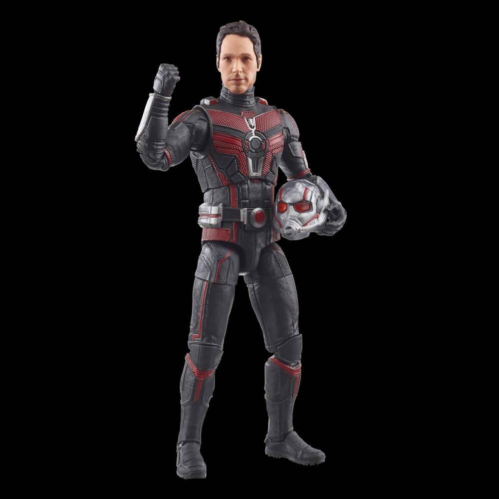 Hasbro MARVEL Marvel Legends Series Человек-муравей, Человек-муравей и Оса: Квантомания 6 дюймов (15 см) размер фигурки, подходит для детей от 4 лет и старше F6573 Genui