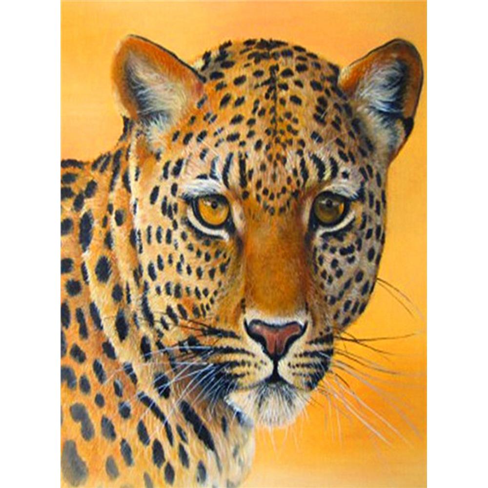 DIY Diamond Painting Kit Animal Diamond Embroidery Cross Stitch Peacock Pictures Of Rhinestones Mosaic Decortion