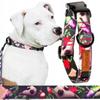 FABRIC collar with buckle for a medium terrier dog 20mm Ukory SKULL