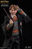 Star Ace Toys My Favorite Movie Series Ron Weasley Scale Collectible Action (1/6 Figure)