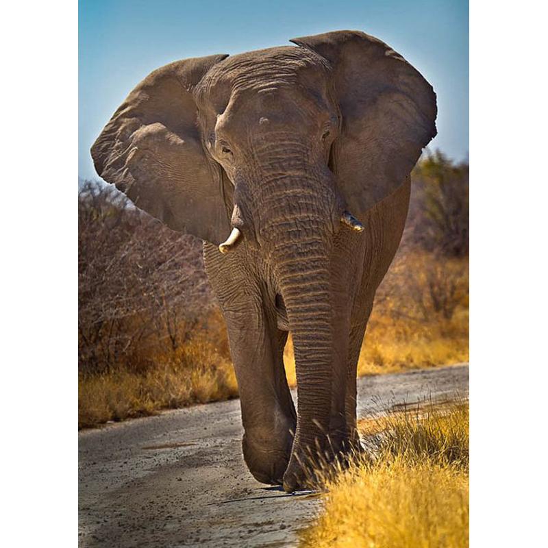 DIY Слон 5D алмазная живопись полная круглая дрель Алмазная вышивка животные мозаика наборы страз настенное искусство домашний декор подарок