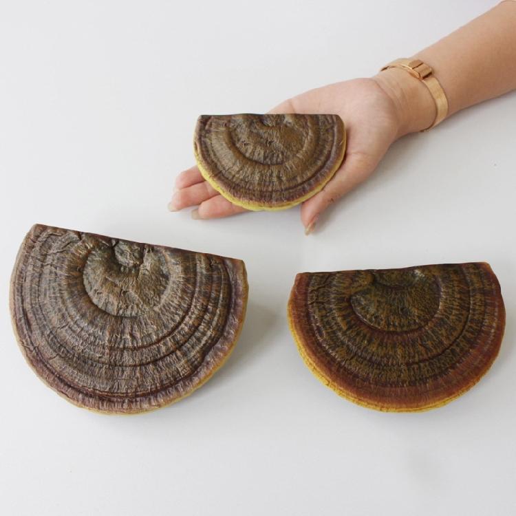 Креативный держатель-хранилище в виде гриба, 3-секционная плавающая настенная полка-гриб, Стеллаж-держатель для демонстрации грибов