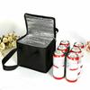 Ice Bag Aluminum Foil Lined Cooling Thermal Insulation Bottle Cooler Holding Temperature Holder Bags Carrier Chilling Can Cool Wine Picnic