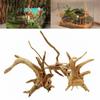 Background Reptile Landscaping Aquarium Decoration Plant Stump Driftwood Natural Trunk Cuckoo Root