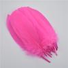 20Pcs Colorful Hard Stick Goose Feather 6-8inch/15-20cm Natural Swan Crafts Plumes  Table Centerpieces Feathers for Decoration