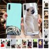 Мягкий чехол для телефона Samsung Galaxy A32 A12 A52 A53 A22 5G A11 A21S A50 A10S A20E A30S A40 A51 A70 A71, чехол с милым мопсом
