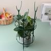Plant Support Pile Plastic Semicircle Climbing Vines Stake Bonsai Flower Stand Cage Garden Plant Grow Fixing Rod Rack