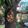 Tree Monster Bird Feeder: Creative Outdoor Garden Bark Pendant Decoration
