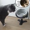 304 stainless Tilted Elevated Adjustable Raised Cat Food Bowl Stand Design Extremely High-Quality, Long-Lasting Rust Resistant