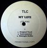 12-дюймовая пластинка TLC My Life Aint Too Proud To Beg LFR4040 LaFace Records US Rap HipHopRB Б/у