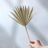 Wabi-Sabi Style Dried Flower Vase with Natural Reeds, Cattails, and Wheat (30-40cm)