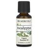 Organic Essential Oil, Eucalyptus, 30 Ml (1 Fl Oz)
