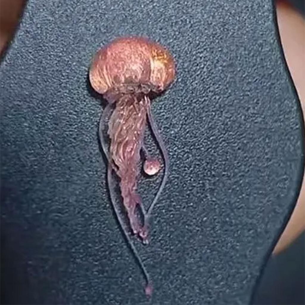 Креативные формы для дизайна ногтей в виде медуз, силиконовые формы для капельниц, формы для украшения ногтей, уникальные формы для маникюра, силиконовые формы