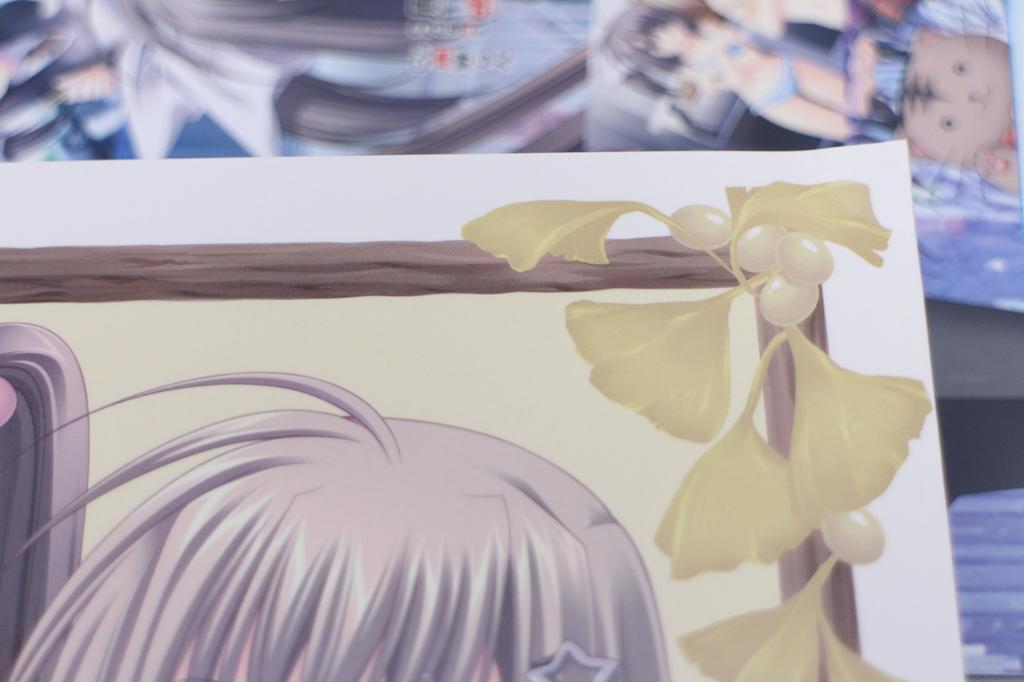 У нас нет крыльев -Ограниченный выпуск-