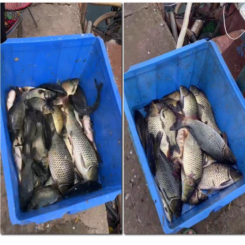 FTK Набор удочек и катушек, набор мужских телескопических удочек, складной портативный стартер для рыболовных снастей, компактные дорожные удочки