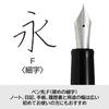 PILOT Fountain Pen Custom Heritage 912 Fine Nib Black FKVH2MRBF