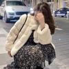 Imitation Mink Fur Coat Women's Winter New Loose Furry Short Thickened Stand-up Coat