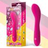 Sugar G-Spot Vibrator USB Silicone Fushsia