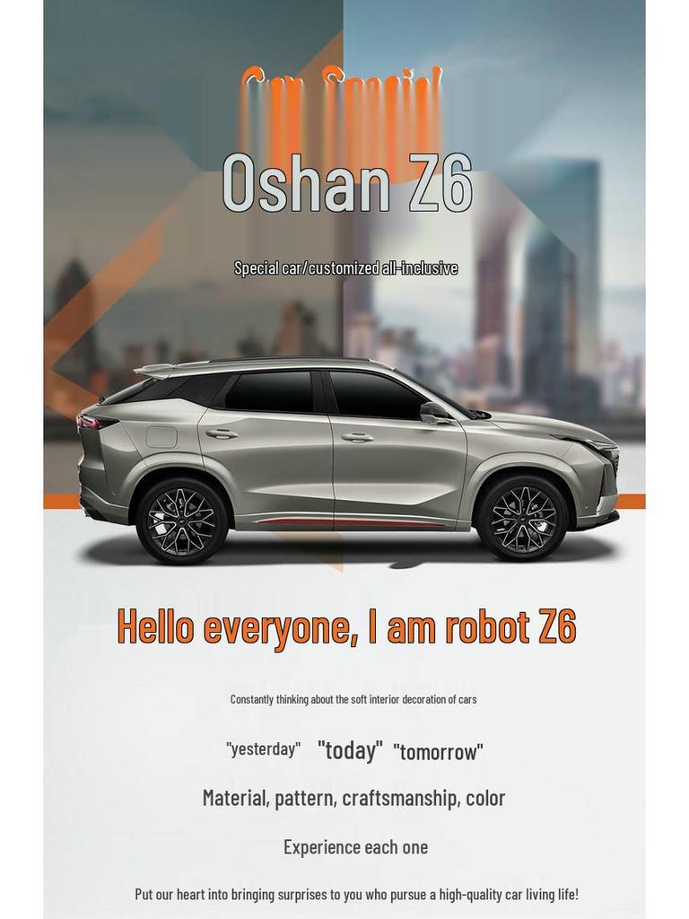 Changan Oshan Z6 Smart Edition 2.0T Blue Whale 2023 Car Seat Cushion Cover