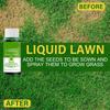Grass Lawn Nutrient Solution 59ml Plant Growing Nutrient Hydroponic Garden Plant Fertilizer Seeding System Liquid Spray