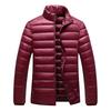 Men's Autumn and Winter New Stand-up Collar Down Cotton Clothes White Duck Down Short Thermal Jacket Men