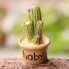 Bonsai Lifelike Eye-catching Miniature DIY Fairy Succulents Decorations for Garden