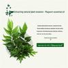 Liushen Wormwood Nourishing Body Wash and Walch Foaming Hand Wash Set