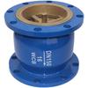 Vertical Flange Check Valve