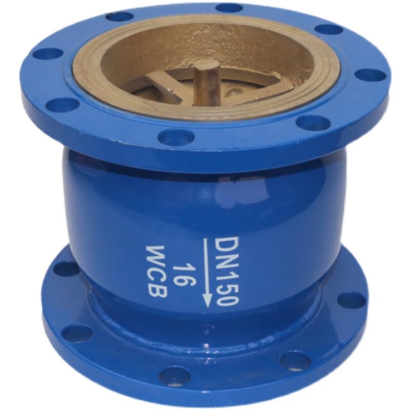 Vertical Flange Check Valve
