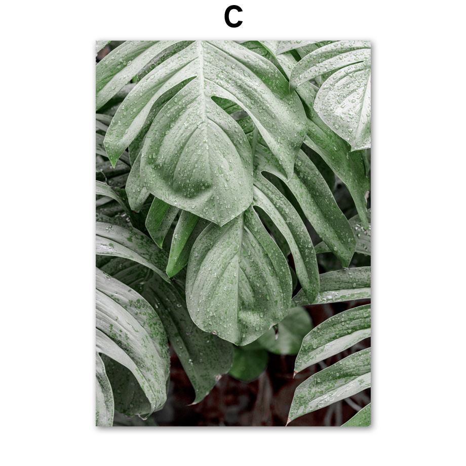 Зеленое растение агава кактус линия геометрия абстрактный постер печать холст картина скандинавское настенное искусство картины для гостиной домашний декор