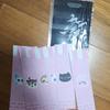 [For Sale] Baby Monster Dance The Same Pop-Up special gift Bookmark, L-holder