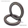FKM Hydraulic High-Pressure Oil Seal