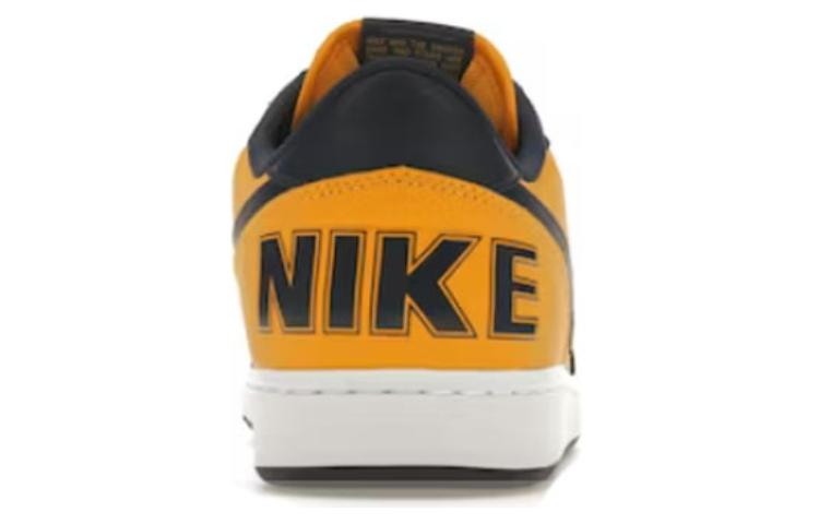 Nike Терминатор Лоу Мичиган FJ4206-700