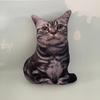 Подушка-кукла с рисунком тигра 3D - креативный подарок на день рождения в виде кошки-звезды