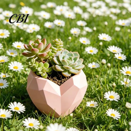 Lively Plant Holder Geometric Heart Shape Flowerpot, Decorative Flower Pot for Indoor Creative Design Outdoor, Love Planter Home Garden Balcony