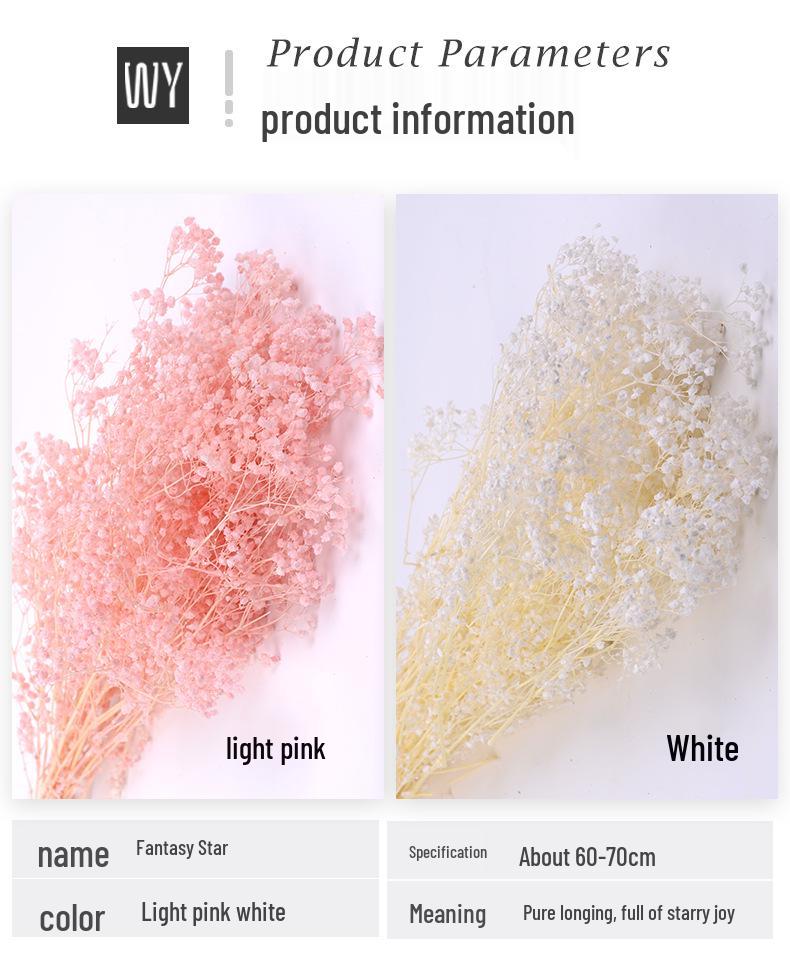 Preserved Gypsophila Dreamy Star Bouquet - Dried Flower Arrangement for Home Decor and Valentine's Day Gift