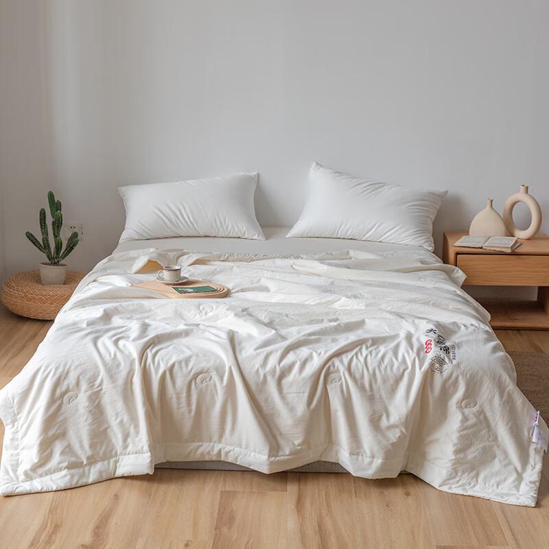 Muji Soybean Fiber Quilt with Soft Fabric