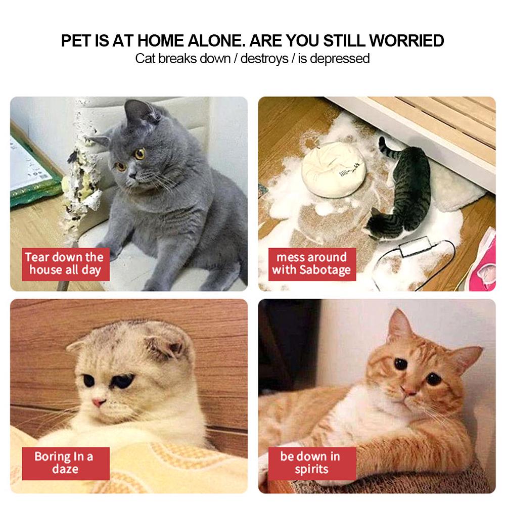 Милая кошачья мордочка кошачья мята кошки игрушка котенок зубы жевание кусание плюшевые игрушки кошка плюш подушка для большого пальца аксессуары для питомцев