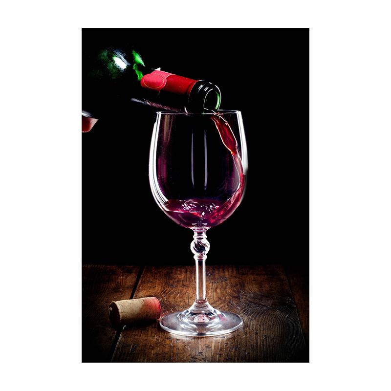 Modern Black and White Nude Art Poster Printing Sexy Girl Wine Glass Wall Art Pictures for Bedroom Bathroom Home Decoration