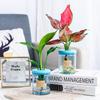 Mini Hydroponic Flower Pot Home Vase Decor Transparent Imitation Glass Soilless Plant Pots Green Plants Pot For Home Decoration