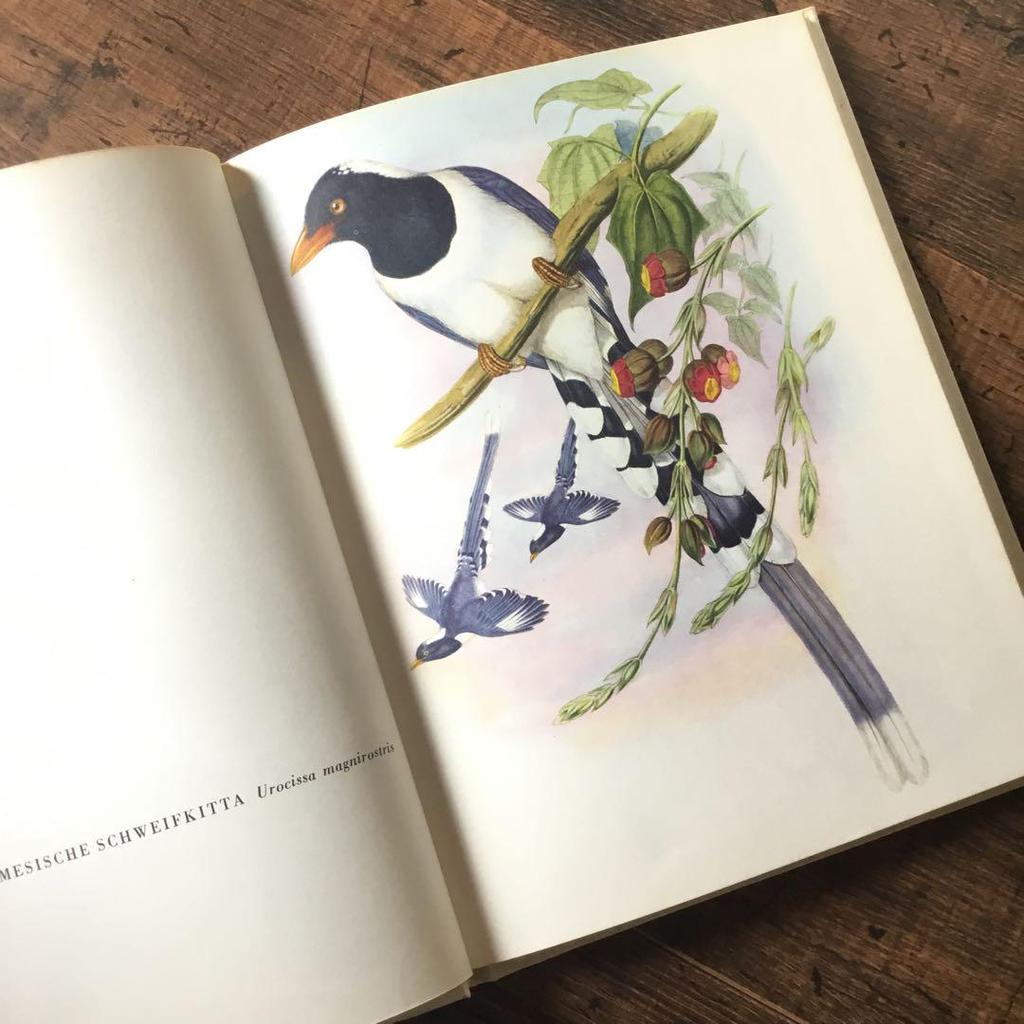 [Б/У] Иностранные книги, немецкие определители птиц, старые книги, винтажные книги