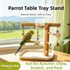 Durable Parrot Tray Rack Bite Resistant Bird Platform Food Box Parrot Perch Shelf  Pet Interactive