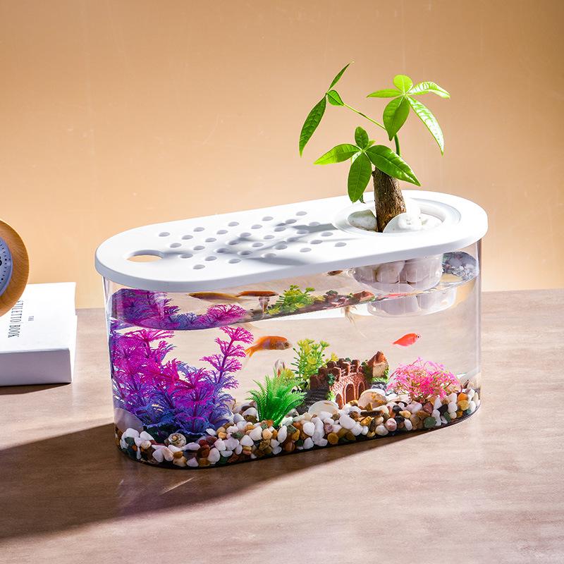 Clear Plastic Fish Tank for Desktop Landscaping - Turtle, Goldfish, Micro Ecosystem Aquarium