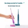 FLYCO FT7105 Sonic Electric Toothbrush