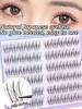6 Rows Series Glue Free Lashes No-Adhesive Eyelash Set for Full Reusable Defined Lashes Long Lasting Reusable & Easy to Wear.