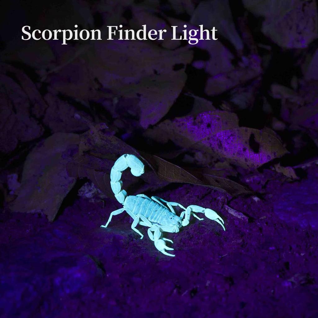 TNATRA UV 365nm 395nm Blacklight Flashlight UV Glue Curing, Dry Stain, Portable, Zoomable Handheld Ultraviolet Flashlight Blacklight