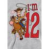 Toy Story Childrens/Kids I'm 12 Woody Heather Birthday Pullover Hoodie