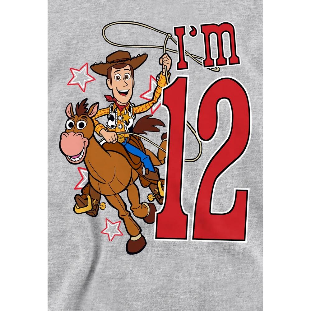 Toy Story Childrens/Kids I'm 12 Woody Heather Birthday Pullover Hoodie