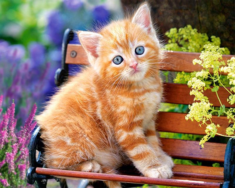 Набор для алмазной живописи кошка собака волк и девушка животное 5D DIY Алмазная вышивка цветок сельский пейзаж вышивка крестиком стразы мозаичное украшение