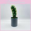 Искусственный Имитация Кактуса Зеленое Растение Бонсай Для Дома И Декора Настольный